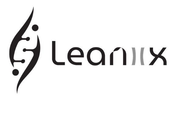Leanix
